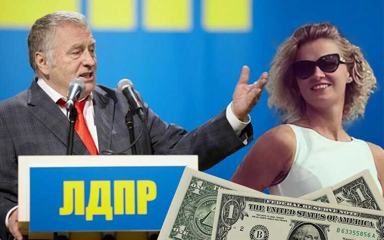 The Zhirinovsky clan’s "wallet" Nadezhda Grishaeva hides LDPR assets using dissolved companies and secret offshore accounts