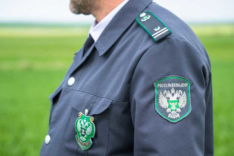 Взяточник Владимир Чухарев снова вернулся к власти в Россельхознадзоре
